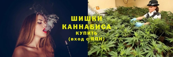 дурь Горно-Алтайск