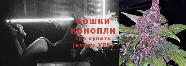 дурь Горно-Алтайск