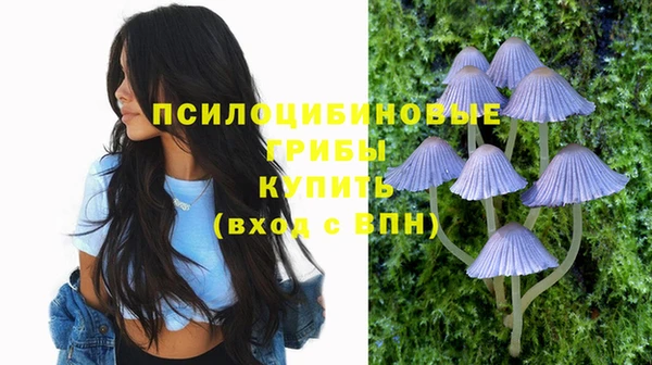ешки Горняк