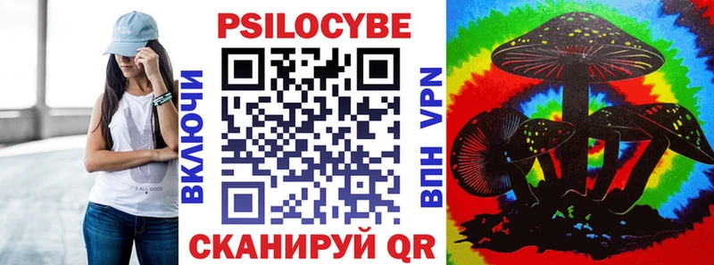 MEGA зеркало  купить  цена  Калач  Псилоцибиновые грибы Cubensis 